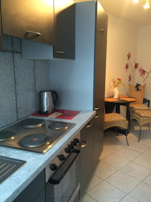 Anton-Ulrich Apartment Meiningen Exterior photo